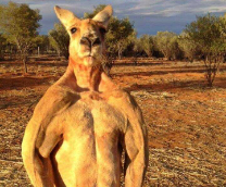 ����� � ���������