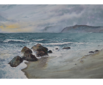 ��������