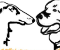 ����� ���� � �������