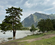 ������ �����