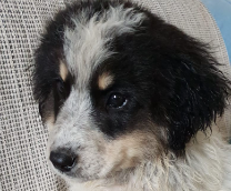 ����� �����!