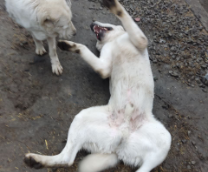 �� ���� � ������