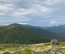 ������������� �����