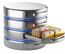 ���� ������