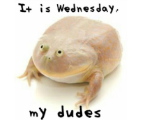 � ���� �����, ��� ������