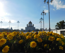 �����������.