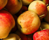 ���, ��� ������ �������