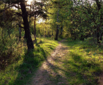 ����������� ���