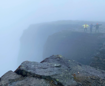 ���� ���������