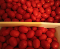 ����������. ����. ��������.