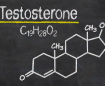 �������.��������������/������� ��������