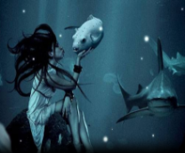 ��� �� ���� �� ����� ��������