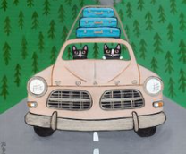 ����-�-����