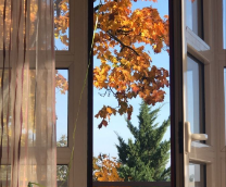 ���������� ��� ������ �����