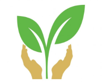 ���� - ����� � ������ �������