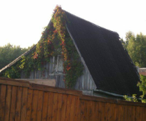 ����� � �������