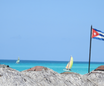 ����, �������� 2023