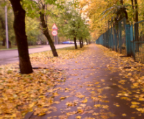 ����� ��� �����