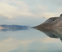 ������ ��������, ����������