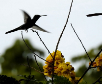 �����. ����. �������� 2023