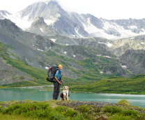 � ������������ ������ �����