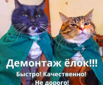 �������� )