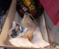 �� ������ ������ � ����� ������ �������� ������ ��