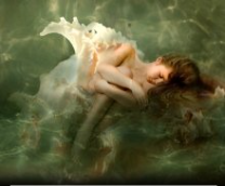 ������� �� ����������