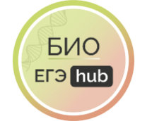 ������ ������� �� ��� Hub