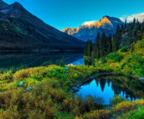 ����������