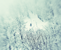 ����� �������