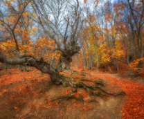 ����� � �����