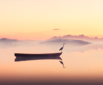 ��������������