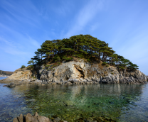 ������� � �������