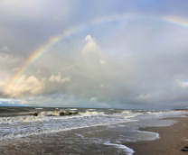 ���� ����������