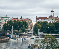 ���� / ������