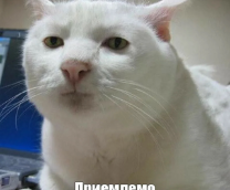 �������������