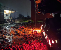 ���������/����