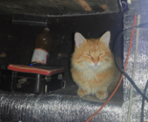 ��� ���� � ��� � ������