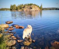 ������ 2023