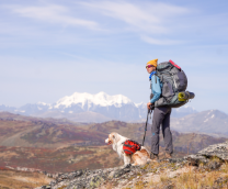 ����. ������� ������� � ������ �����