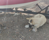 ��������� ������ � �����