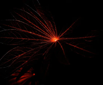 �� ������