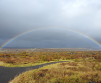 ������ ��������