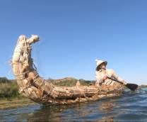 �������������