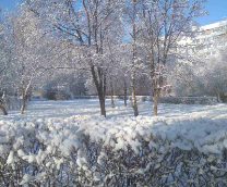 ������� ����