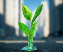 ��������������� 