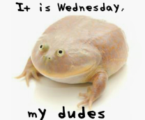 �����, ��� ������ 