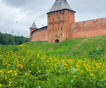 ����������� SsVMedia