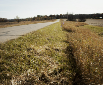 ������, �����!